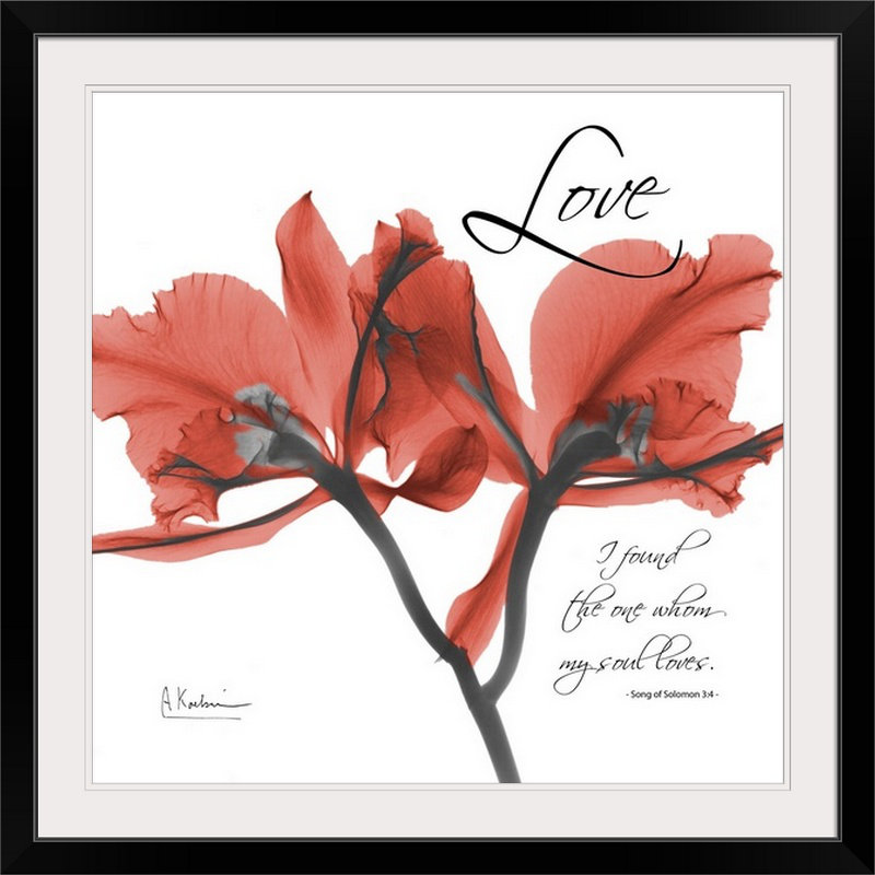 «par albert koetsier,, reproduction de photo Orchid Love X-Ray, H 32 po x l 32 po x P 1 po, Cadre noir