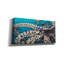«Wild Octopus I» par Carolee Vitaletti, art mural sur toile-870283526