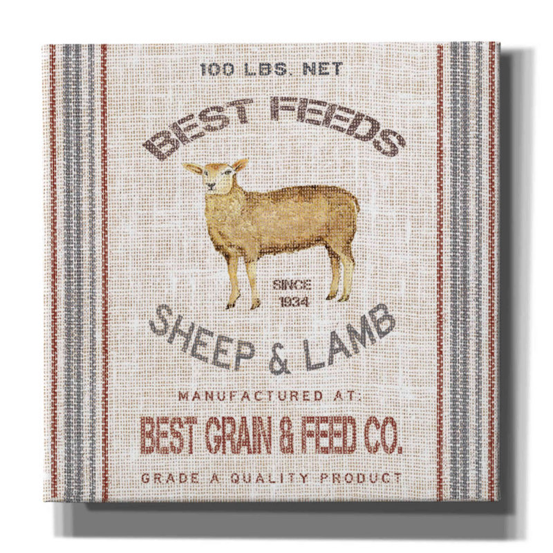 'Best Feeds' by Cindy Jacobs, Canvas Wall Art, 12" H x 12" W x 0.75" D