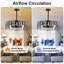 Boehme 19.68'' Crystal Caged Chandelier Ceiling Fan with Light and Remote Control