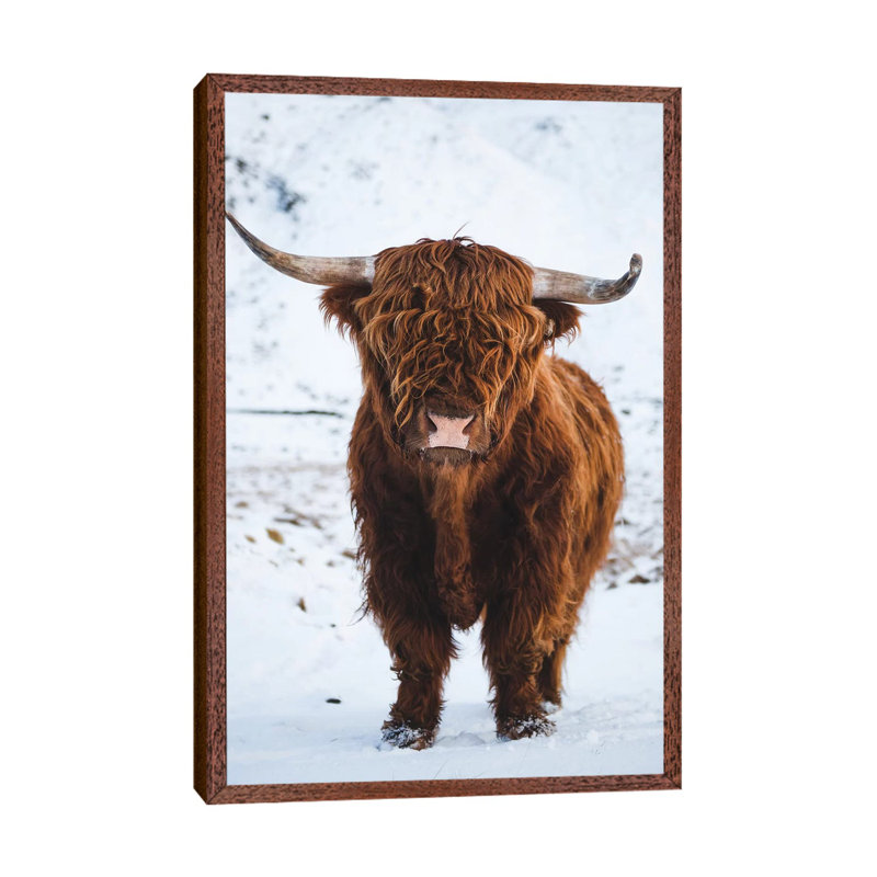 Highland Cattle I - Print on Canvas, 66.04 cm H x 45.72 cm W, Brown Framed