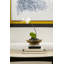 Iris Accent Stool-64776233