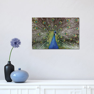Beauty 1 Piece Wrapped Canvas Wall Art