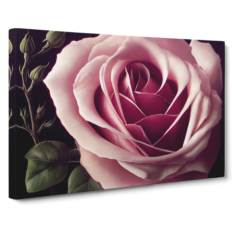 An Exceptional Rose Flower - Wrapped Canvas, 40cm H x 60cm W x 3cm D