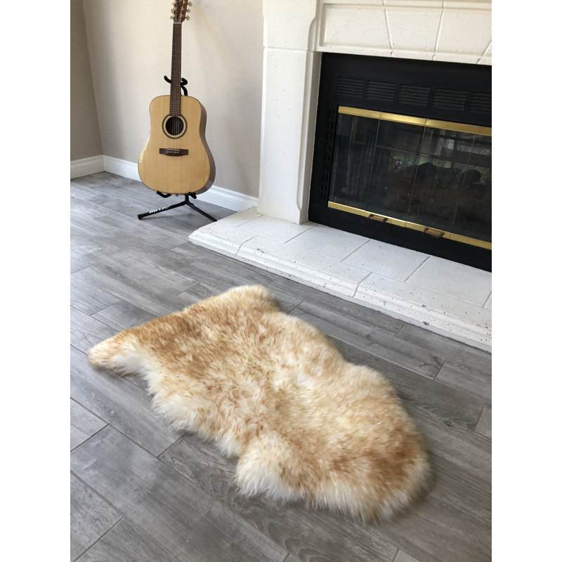 Tapis brun à poils longs Atterberry, Nouveauté 2 pi x 3 pi
