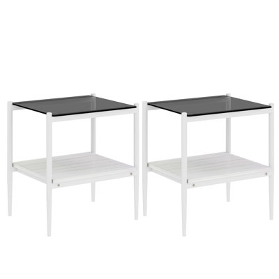 Finkelstein Tempered Glass Side Tables with Shelf