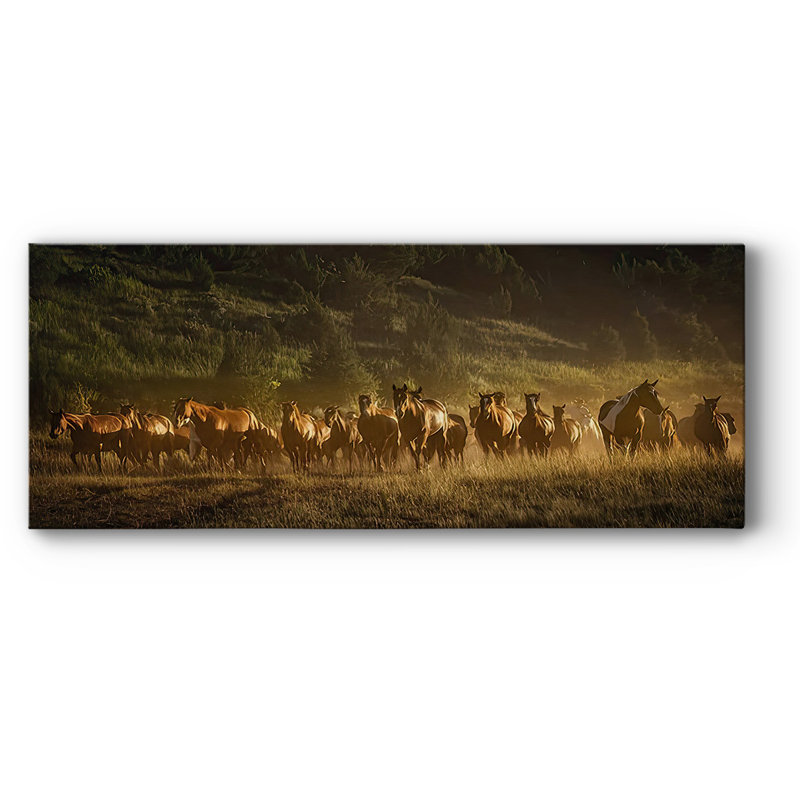 Wild and Free III sur toile, H 20 po x l 50 po x P 1,5 po
