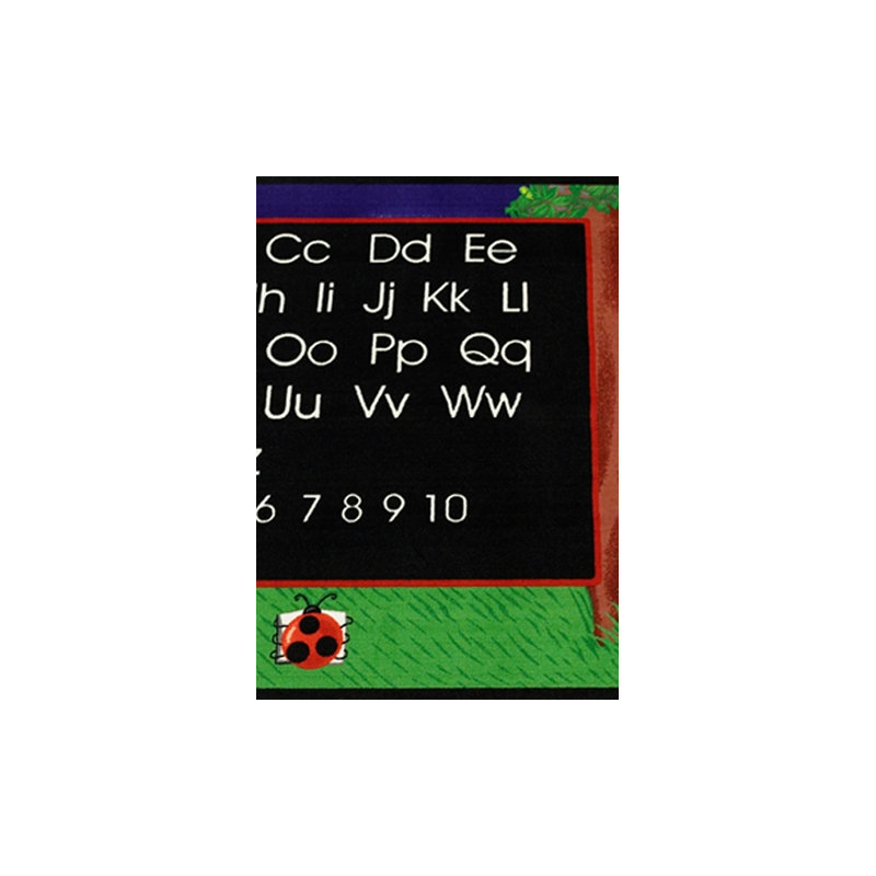 Educational Indoor Rug, 9' x 6'