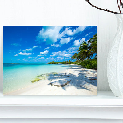 Mattos 'Tropical Beach with Palm Shadows' - Photographic Print