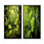 «White White Forest Tranquility - Forest», ensemble de 2 impressions sur toile-102576637-102576648