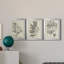 «Antique Black and White Botanical IV», ensemble de 3 peintures sur toile encadrées-508101473-508101478