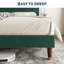 Bed-1727148117