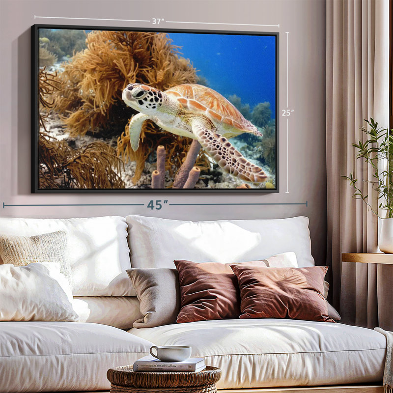 Turtle Reef Canvas Print, 25" H x 37" W