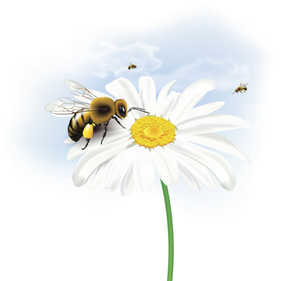 Tallula, abeille sur fleur sur toile, impression