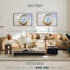 Coquille Nautilus vide-243752070-243752065