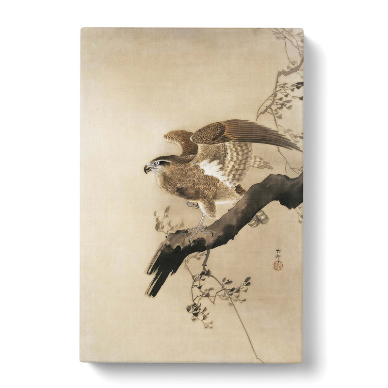 Hawk by Ohara Koson - Wrapped Canvas Painting, 60cm H x 40cm W x 3cm D
