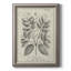 Antique Botanical VII - Reproduction d'art sur toile encadrée-2118097222