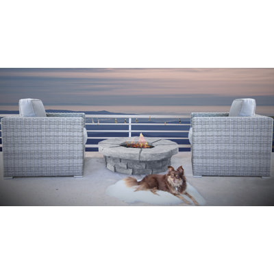 Dana Fully Assembled 2 - Person Seating Group with Cushions