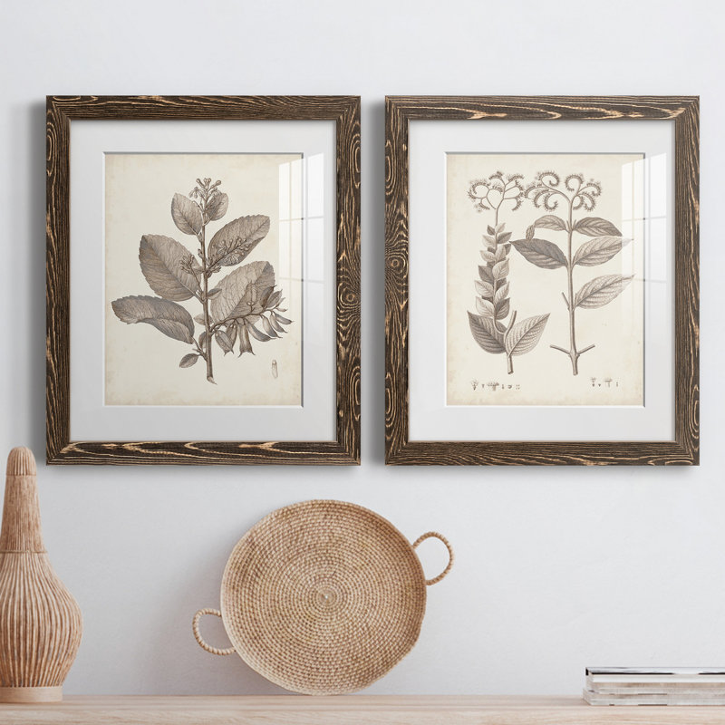 Antique sépia botanicals V - ensemble de 2 reproductions d'art sur papier encadré, H 20 po x l 17 po x P 1 po