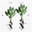 Arbre artificiel avec motif de bloc de couleur noir et blanc, arbre artificiel pour salon, chambre à coucher, bureau, 5,58 pieds (67 po) Signleader-273170119