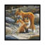 «Fox Family» par Jan Weenik - Impression sur toile tendue sur toile tendue avec châssis-29479784-73575583-73575584