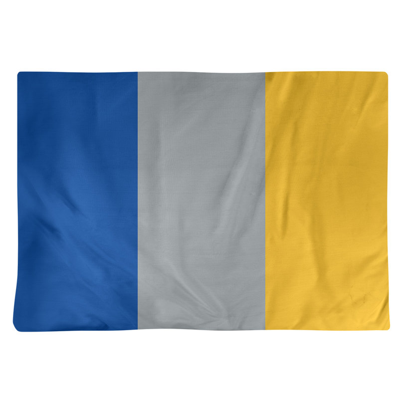 Récapitulatif 14" hockey St. Louis, Bleu royal / gris / doré, Polyester