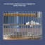 Cage à oiseaux Becontree-1446805589