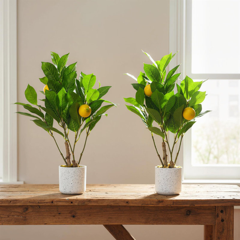 Ensemble de 2 plantes artificielles à branches de citron - Faux bonsaï en pot d'aspect marbre avec base en mousse de ciment pour la maison et le bureau