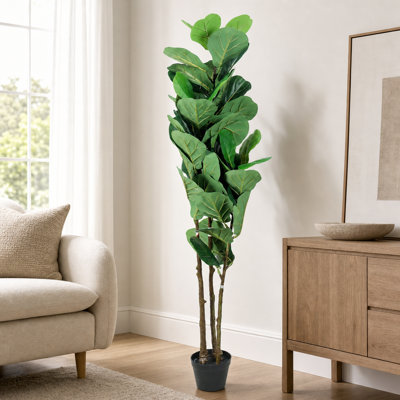 Figuier lyre artificiel de 154 cm avec pot, grande plante d'intérieur artificielle (Ficus lyrata) pour la décoration.