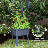 Plastic Indoor / Outdoor Terrarium-38400394