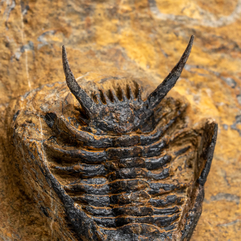 Stone Decorative Object