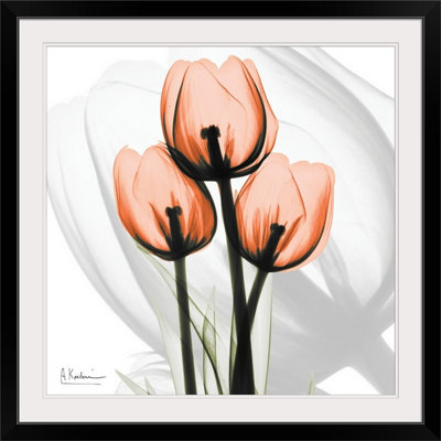'Tulips X-Ray by Albert Koetsier Photographic Print