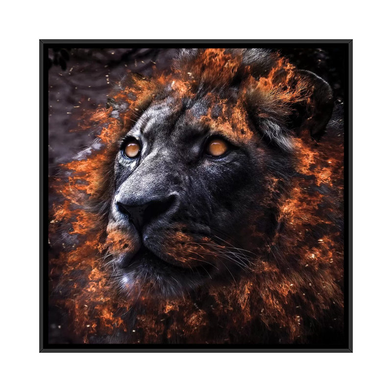 Alpha by Paul Haag - Print on Canvas, 45.72 cm H x 45.72 cm W, Black Framed