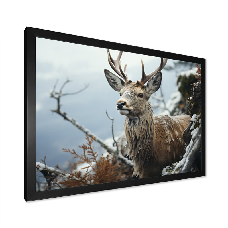 «Winter Deer», photographie monochrome II sur toile, H 30 po x l 40 po x P 1,5 po, Cadre simple noir