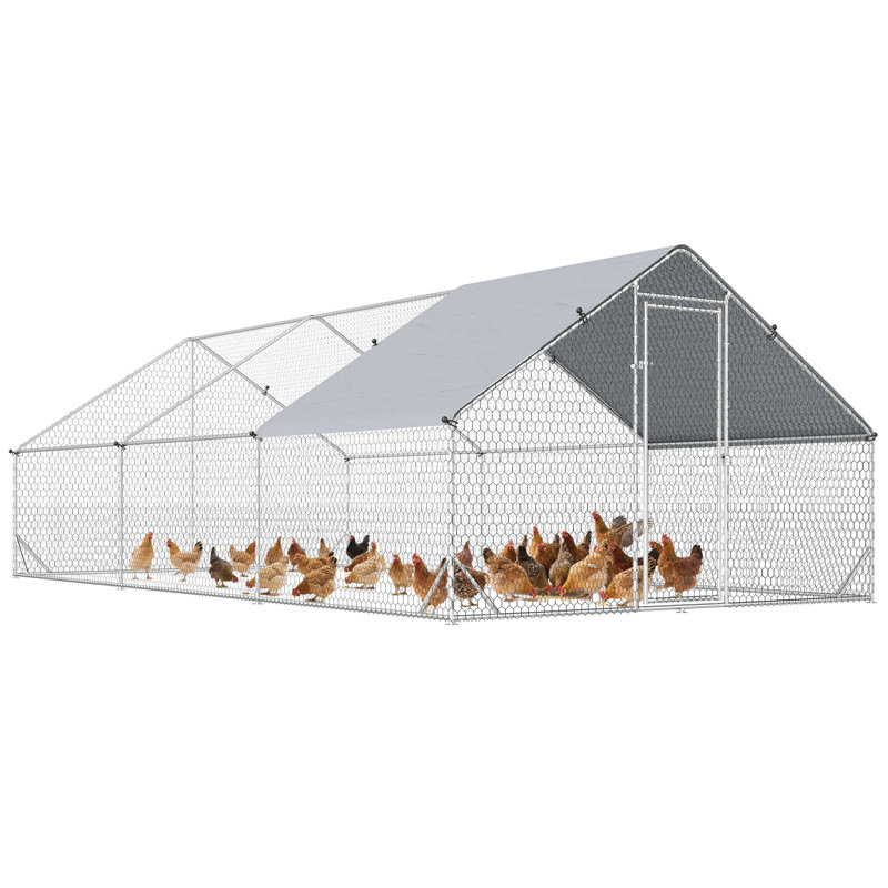 Poulailler avec couloir Mitzel, H 79 po x l 118 po x P 236 po