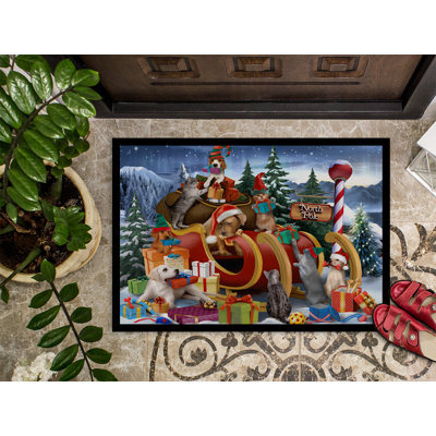 Diaonetta Non-Slip Christmas Outdoor Doormat