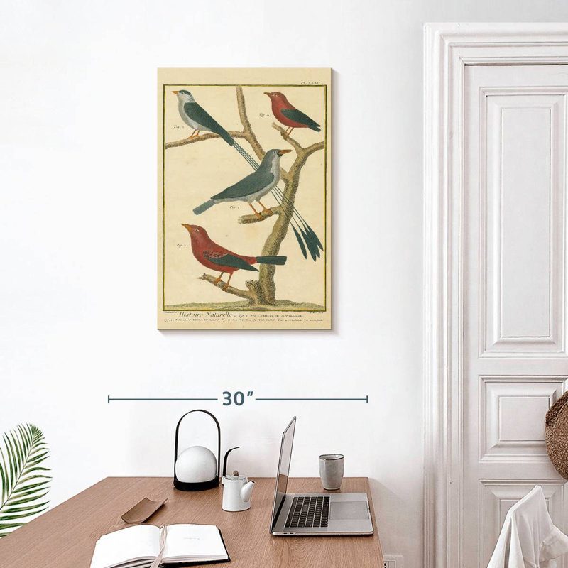 Brampt Bird Drawing I, 30" H x 20" W