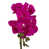 Dark Pink selected