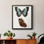 Papillons bleus antiques IV, toile encadrée de qualité supérieure - prête à être accrochée-1977291137-1977291140