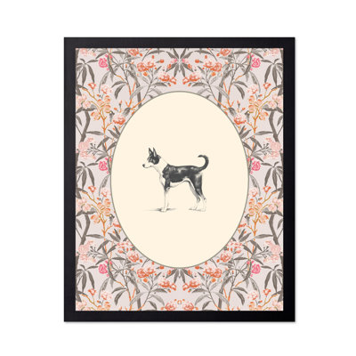 Portrait de Basenji