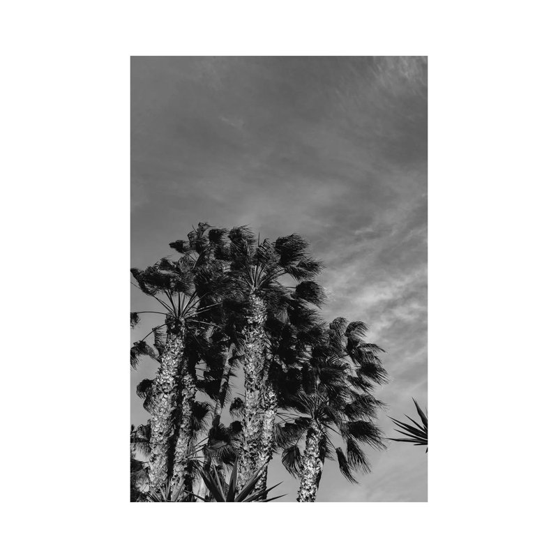 Monochrome California Sky by Bethany Young - Print on Canvas, Wrapped Canvas, 45.72cm H x 30.48cm W x 1.91cm D