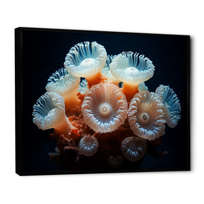 Balanophyllia S, Royaume de corail coloré sur toile