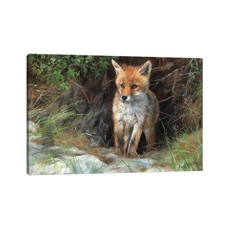 Young Red Fox by David Stribbling - Wrapped Canvas Painting, 45.72cm H x 66.04cm W x 1.905cm D