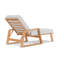 Pursuit Outdoor Chaise Lounge-293763060