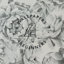 Black and White Peony Floral Wallpaper