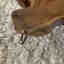 Photos des clients 1 de 2