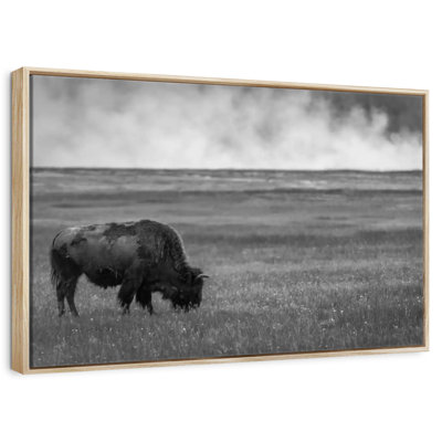 Parc national de Yellowstone