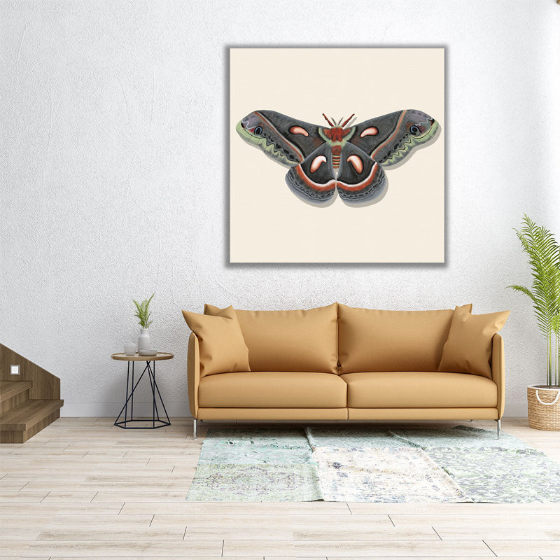 «Watercolor Moths III», reproduction d'art sur toile, H 12 po x l 12 po