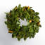 24'' Handcrafted Faux Magnolia Polyethylene Plastic Wreath-1809844641