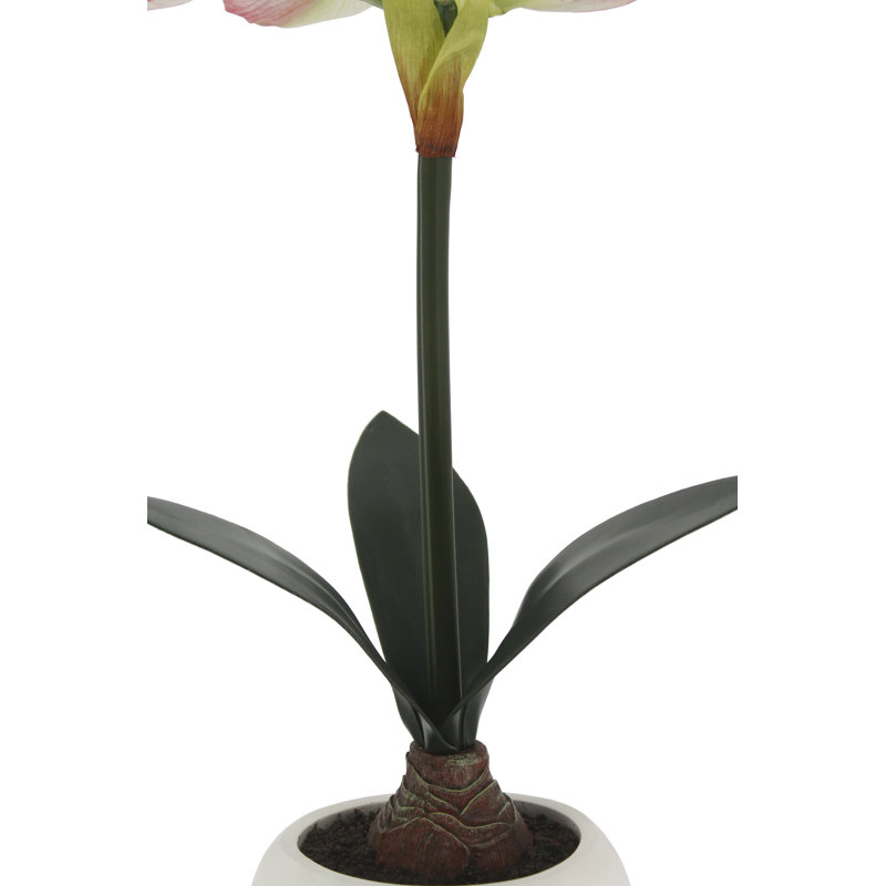 Arrangement d'ampoule 24 po blanc et rose en faux amaryllis dans un pot blanc rond
